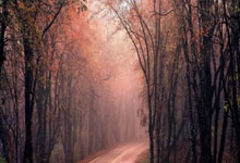 PG电子官网：服装专家：图赫尔穿衣比索斯盖特更休闲，他坚持更放松的风格.